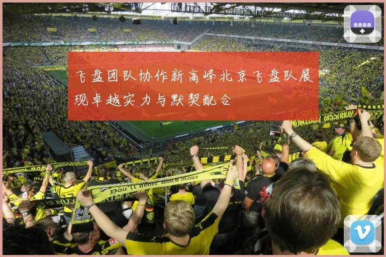 飞盘团队协作新高峰北京飞盘队展现卓越实力与默契配合