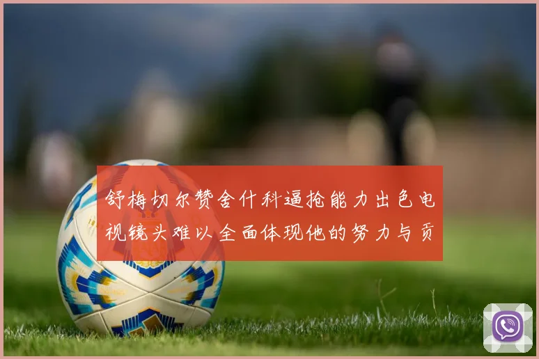 舒梅切尔赞舍什科逼抢能力出色电视镜头难以全面体现他的努力与贡献